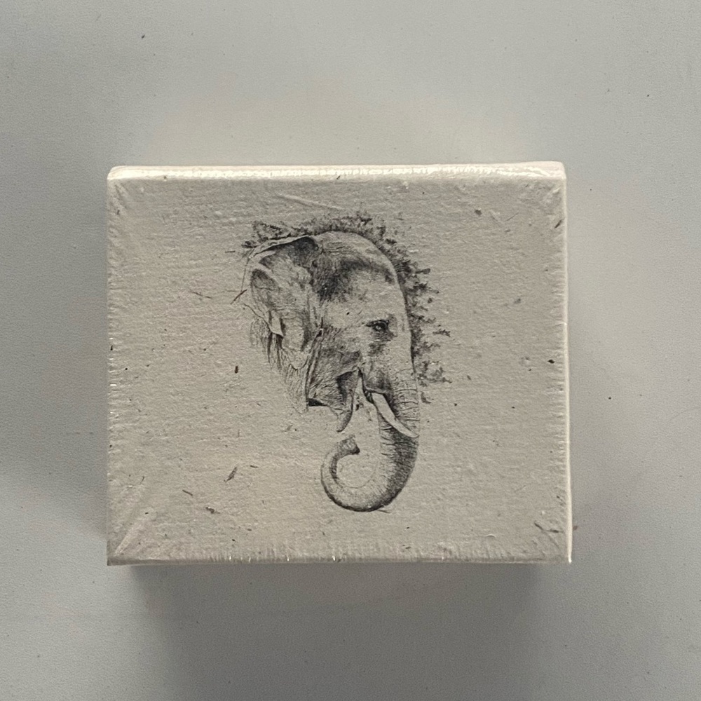 NWT Mr. Ellie Pooh’s Elephant Dung Paper